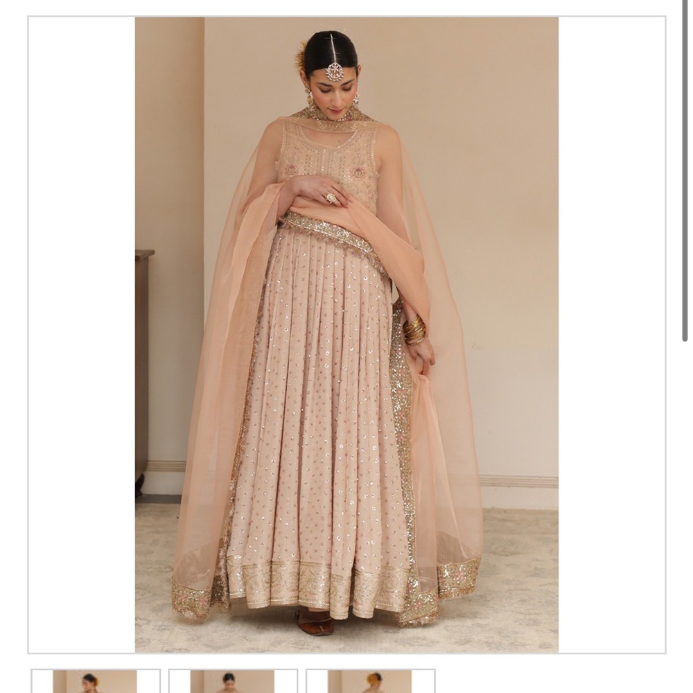 Elegant Blush and Gold Embroidered Long Sleeve Dress